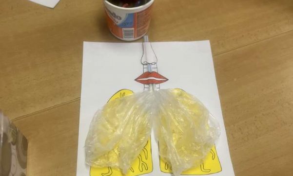 Učíme se aktivně, projektově